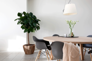 verbouwing en restyling van een woning