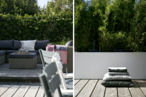 tuinontwerp-strakke-onderhoudsvriendelijke-tuin