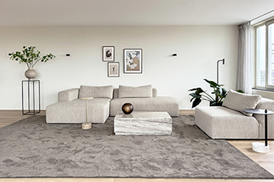 Interieur design appartement Maarssen